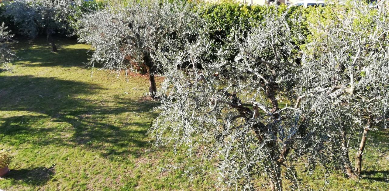 Bed and Breakfast Il Melograno Garda  Exterior foto
